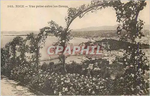 Cartes postales Nice Vue Prise entre les Fleurs