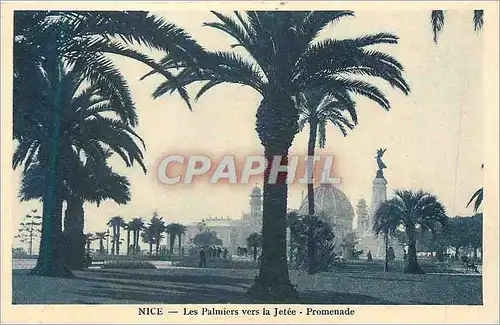 Cartes postales Nice Les Palmiers Vers La Jetee Promenade