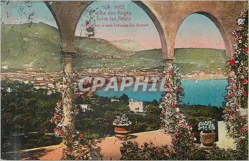 Cartes postales Nice Baie des Anges entre les Fleurs