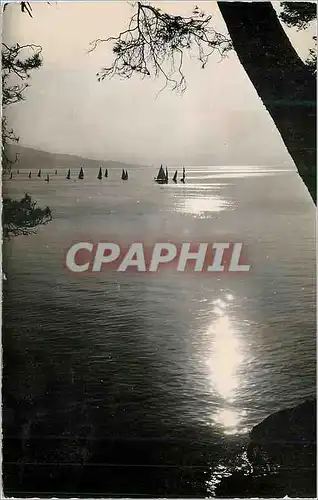 Cartes postales moderne Le Grau du Roi (Gard) Coucher de Soleil