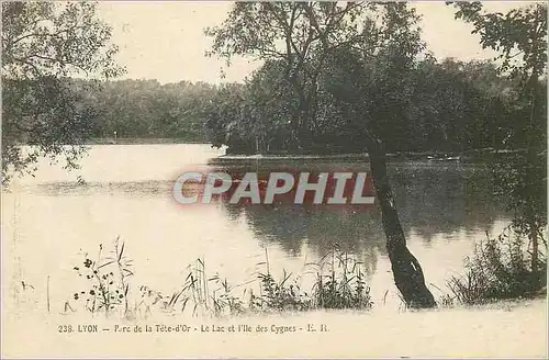 Ansichtskarte AK Lyon Parc de la Tete d'Or Le Lac et l'Ile des Cygnes