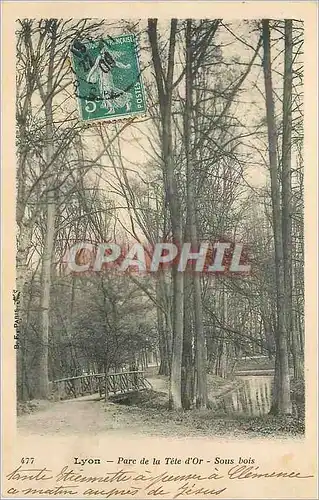 Cartes postales Lyon Parc de la Tete d'Or Sous Bois