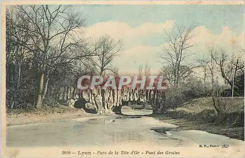 Cartes postales Lyon Parc de la Tete d'Or Pont des Grottes