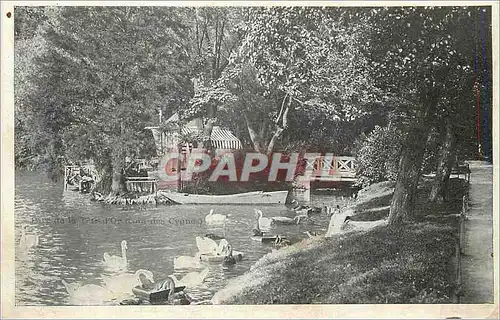 Cartes postales Lyon Parc de la Tete d'Or