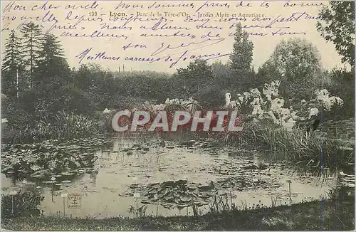 Cartes postales Lyon Parc de la Tete d'Or Jardin Alpin et Aquatique