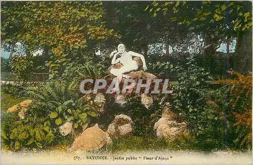 Cartes postales Bayonne Jardin Public Fleur d'Ajone