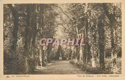 Cartes postales Compiegne Parc du Chateau Une Allee Sous Bois