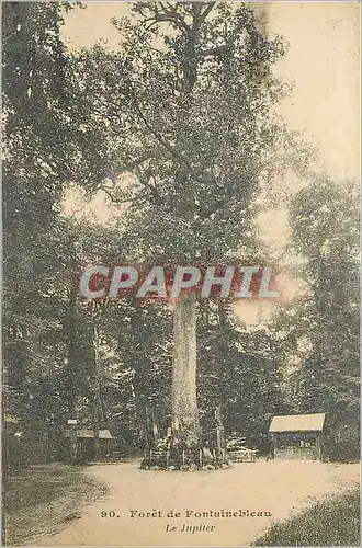 Cartes postales Foret de Fontainebleau Le Jupiter