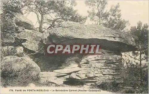 Cartes postales Foret de Fontainebleau Le Belvedere Carnot (Rocher Cassepot)