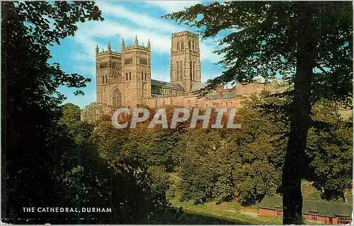 Cartes postales moderne The cathedral durham