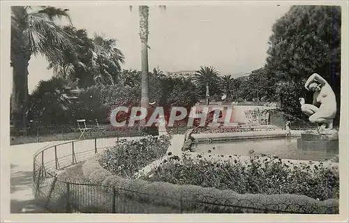 Cartes postales moderne Cannes (A M) Les Jardins de la Croisette