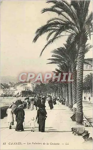 Cartes postales Cannes Les Palmiers de la Croisette