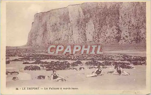 Cartes postales Le Treport Les Falaises a Maree Basse