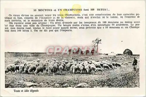 Ansichtskarte AK Moutons et Un Champenois font 100 Betes Troyes (Aube)