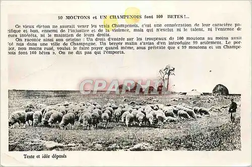 Cartes postales Moutons et Un Champenois font 100 Betes Troyes (Aube)