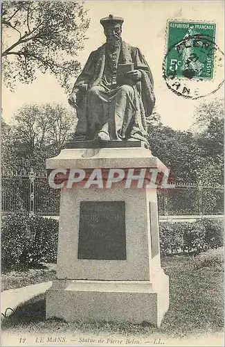 Cartes postales Le Mans Statue de Pierre Belon