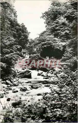 Cartes postales moderne Allevard les Bains (Isere) Le Bout du Monde