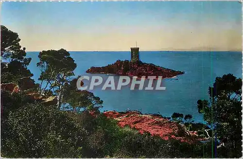 Cartes postales moderne Saint Raphael (Var) L'Ile d'Or