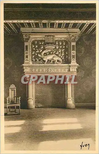 Cartes postales Chateaux de la Loire Chateau de Blois (Loir et Cher) Cheminee de la Salamande