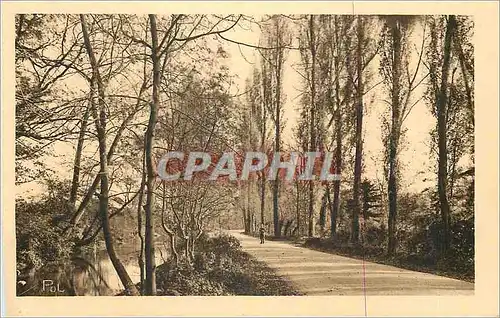 Cartes postales La Ville Renaissante Reims Bords de Veslo