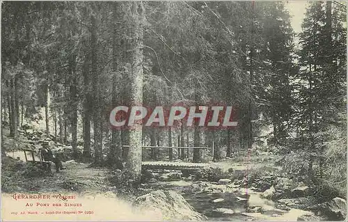 Cartes postales Gerardmer Vosges au Pont des Singes
