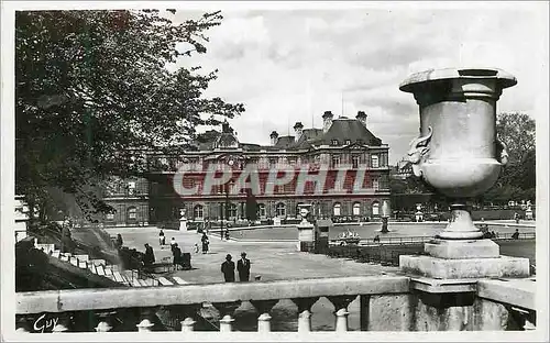 Cartes postales moderne Paris et ses Merveilles le Jardin du Luxembourg