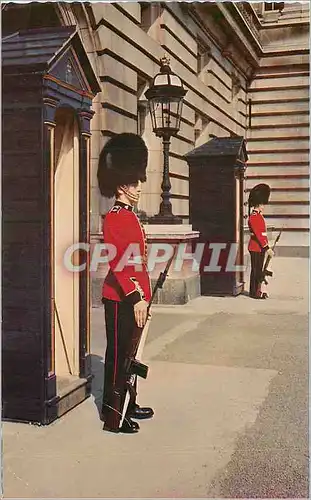 Moderne Karte Irish Guards on Sentry Duty at Buckingham Palace London Militaria