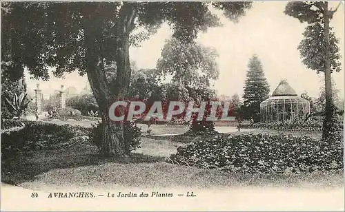 Ansichtskarte AK Avranches le Jardin des Plantes