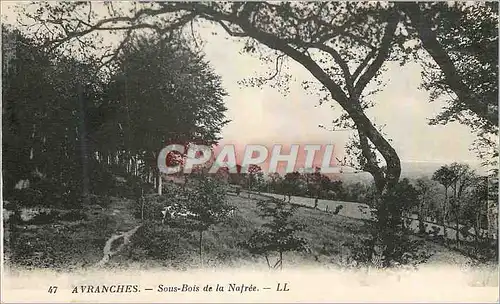 Cartes postales Avranches Sous Bois de la Nafree