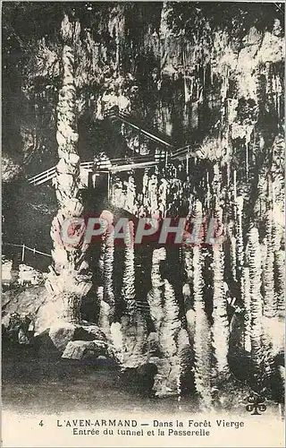 Cartes postales l'Aven Armand dans la Foret Vierge Entree du Tunnel et la Passerelle