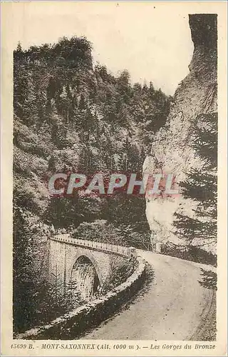 Cartes postales Mont Savonnex (Alt 4000m) les Gorges du Bronze