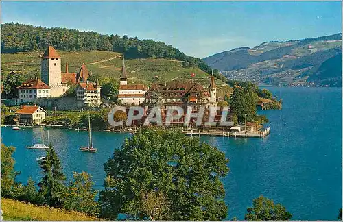 Cartes postales moderne Spiez am Thunersee mit Schloss