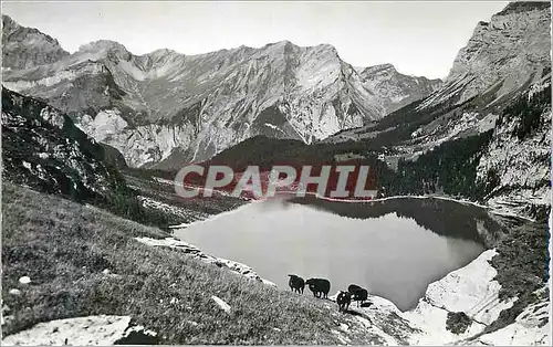 Cartes postales moderne Oeschinensee mit Klein Lohner und First