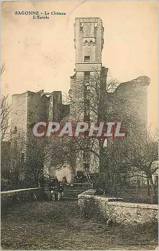 Cartes postales Sagonne le Chateau l'Entree