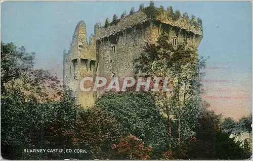 Cartes postales Blarney Castle Co Cork