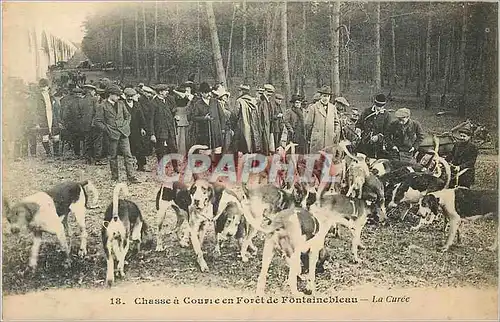 Cartes postales Chasse en Foret de Fontainebleau la Curee