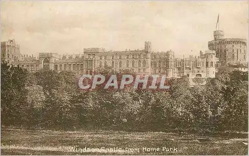 Ansichtskarte AK Windsor Castle from Home Park