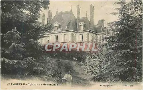 Cartes postales Samoreau Chateau de Montmelian