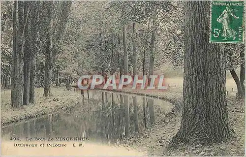 Ansichtskarte AK le Bois de Vincennes Ruisseau et Pelouse