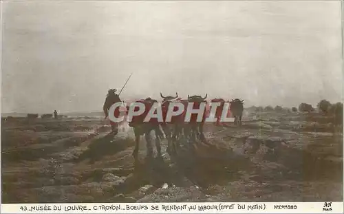 Cartes postales Musee du Louvre C Troyon Boeufs se Rendant au Labour(Effet du Matin)