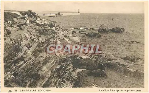 Cartes postales Les Sables d'Olonne La Cote Sauvage et la Grande Jetee