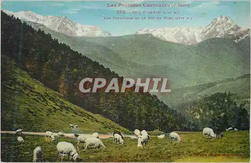 Cartes postales Les Pyrenees Centrales (Ie Serie) Col d'Aspin Les Paturages et le Pic di Midi