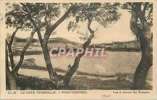 Cartes postales La Cote Vermeille Port Vendres Vue a Travers les Tamaris