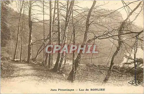 Ansichtskarte AK Jura Pittoresque Lac de Bonlieu