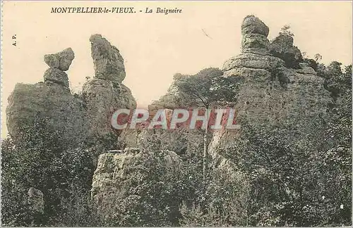 Cartes postales Montpellier le Vieux La Baignoire