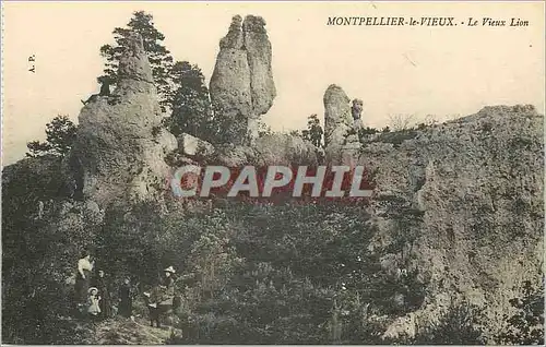 Cartes postales Montpellier le Vieux Le Vieux Lion