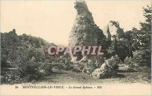 Cartes postales Montpellier le Vieux Le Grand Sphinx