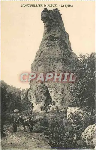 Cartes postales Montpellier le Vieux Le Sphinx