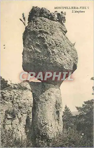 Cartes postales Montpellier le Vieux L'Amphore