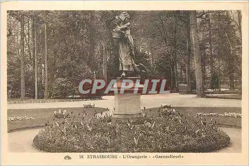 Cartes postales Strasbourg l'Orangerie
